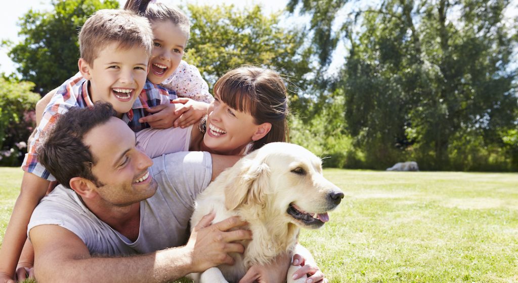 produits-veterinaires-pharmacie-delobelle-orchies-nomain-beuvry-la-foret